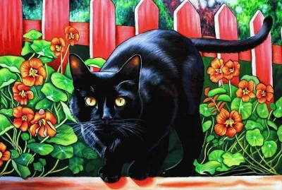 Gato Preto