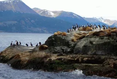 Tomada en Tierra del Fuego. Argentina