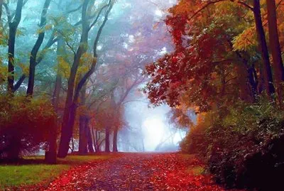paisagem