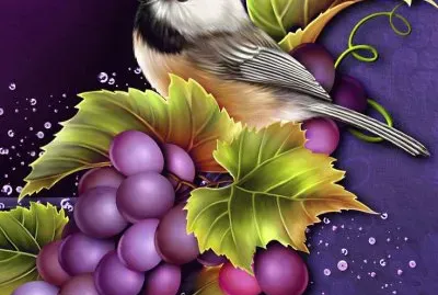 Bird with Grapes