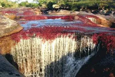 Cristales