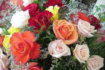 Rosas