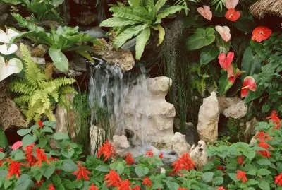jardÃ­n jigsaw puzzle