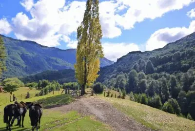 Cerca de Bariloche. RÃ­o Negro. Argentina