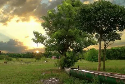 פאזל של Capilla del SeÃ±or. Buenos Aires. Argentina