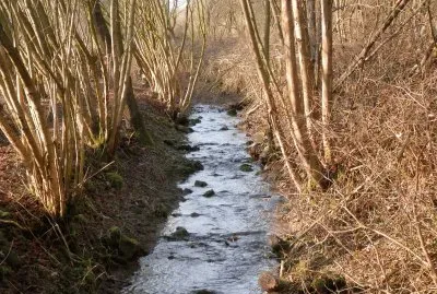 Ruisseau (Bel) jigsaw puzzle