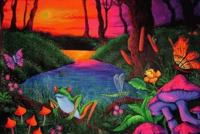 Forest by Nenad Stojkov