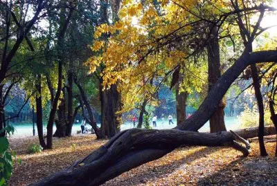 En la Provincia de Mendoza. Argentina