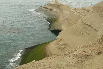 Apostadero de lobos marinos. Patagonia argentina