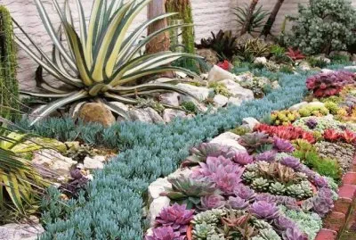 פאזל של Canteros floridos