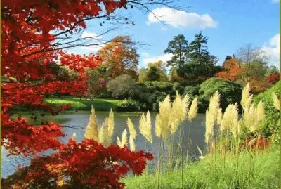 פאזל של natureza