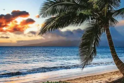 NÂº 816 jigsaw puzzle