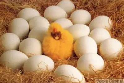 פאזל של boccioli