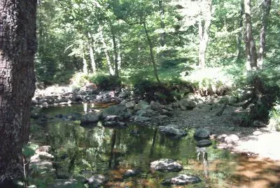 RiviÃ¨re calme (Belgique)