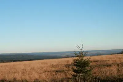 Fagnes (East belgium)