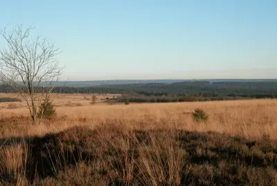 Fagnes (East Belgium)