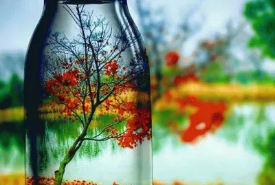 Bottle