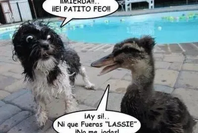 EL PATITO FEO.