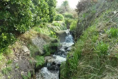 Cornish stream