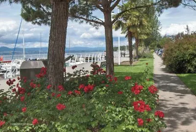 Lake Leman (FR)