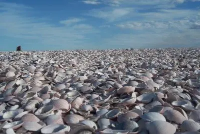 Playa de las Conchillas. RÃ­o Negro. Argentina
