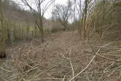 פאזל של Mikado (Blegium)