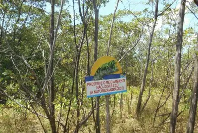 Preservando o meio ambiente