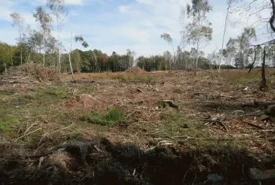 AprÃ¨s la tempÃªte (Belg)