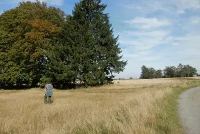 Fagnes (East Belgium)