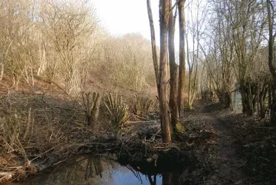 Little river (East Belgium)