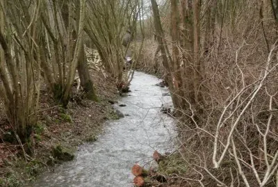 River 's cleaning (East Belgium)