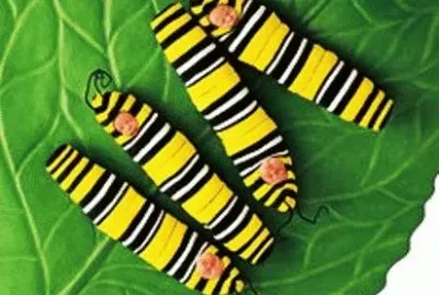 פאזל של boccioli