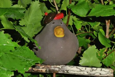 Corbeau