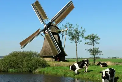 Molino de viento jigsaw puzzle