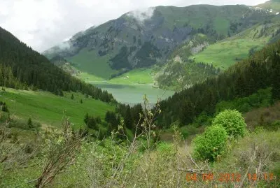 Alpine lake (Alps-FR)