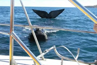 En Puerto Madryn. Chubut. Argentina