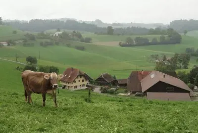 paysage