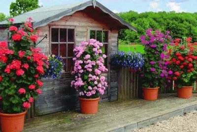 flores