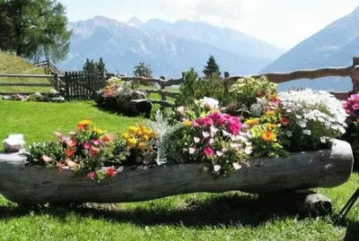 JARDIN 2