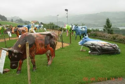 Vaches colorÃ©es Ã  GruyÃ¨re (CH) jigsaw puzzle