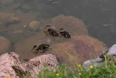 Les trois frÃ¨res (Alpes-Fr)