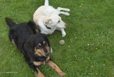 MÃ¨re et fille (Belg) jigsaw puzzle