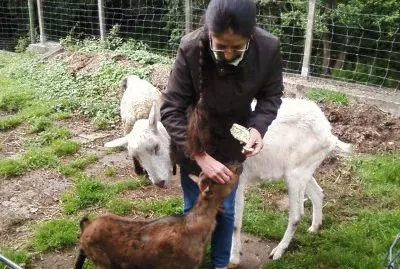 Friends (Belg.) jigsaw puzzle