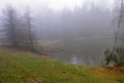 Brouillard sur l 'Ã©tang (East Belgium)