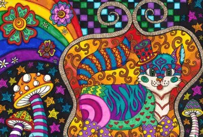 At the end I became a Cat