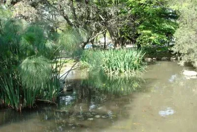 En Escobar. Buenos Aires. Argentina