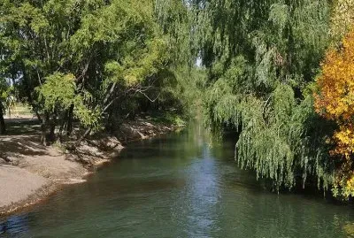 פאזל של Isla 92. RÃ­o Negro. Argentina