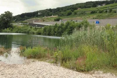 nature jigsaw puzzle