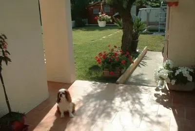 jardin