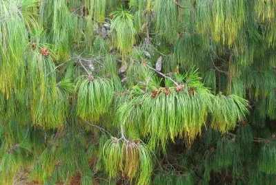 En Guatavita. Colombia